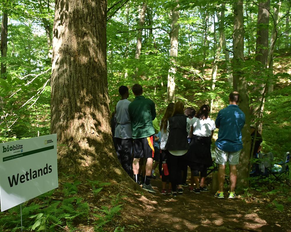 A group of young people on a guided walk through a wooded wetland trail