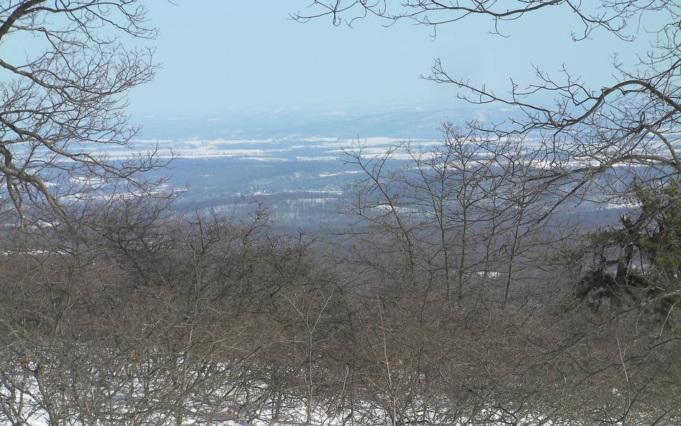 A wooded hillside view over a valley in New Jersey